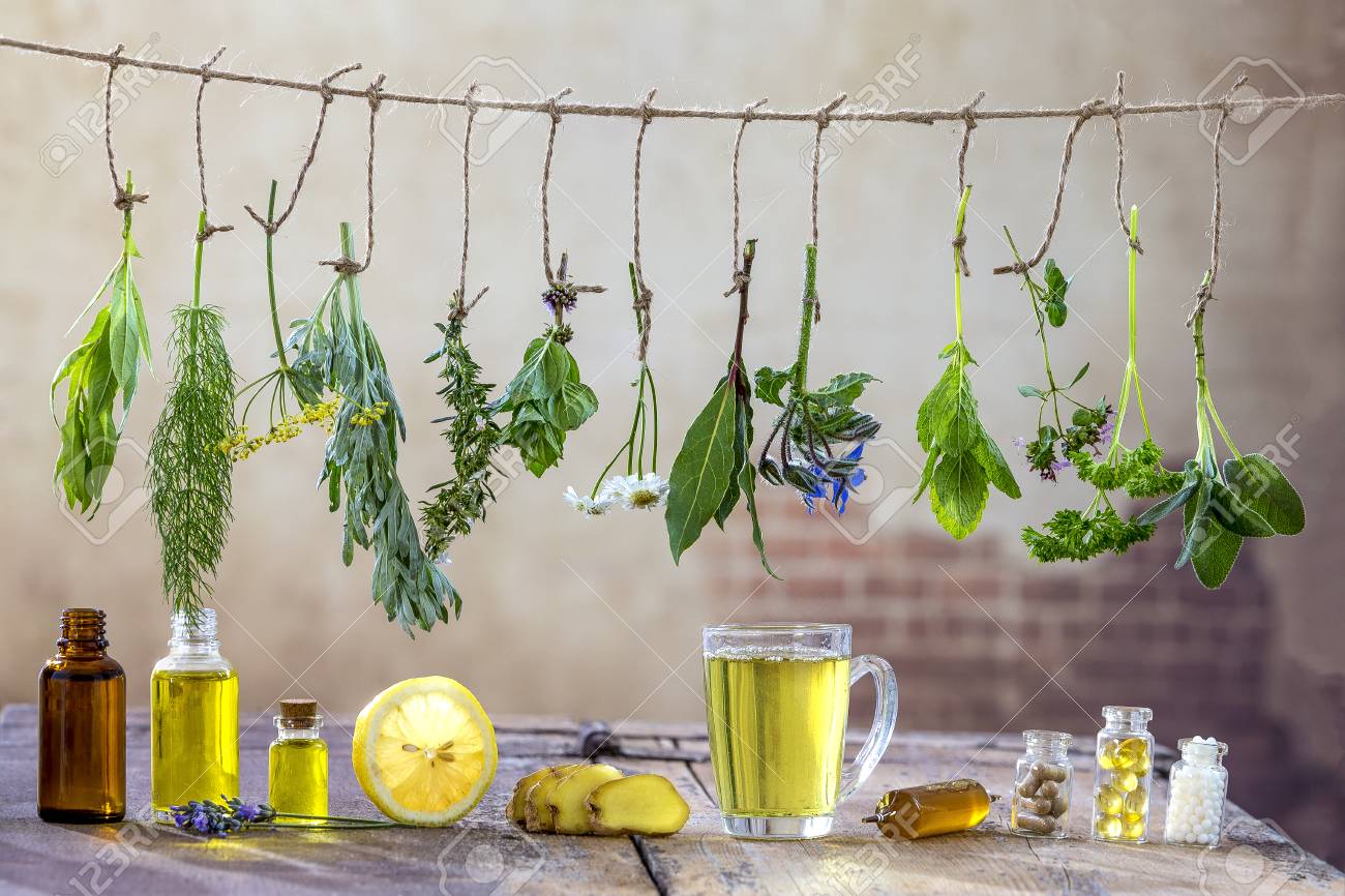 Border with Various fresh herbs and herbal tea on white fresh medicinal plants hanging on the top . Preparing medicinal plants for phytotherapy and health promotion, - 88275164 Border with Various fresh herbs and herbal tea on white fresh medicinal plants hanging on the top . Preparing medicinal plants for phytotherapy and health promotion, - 88275164