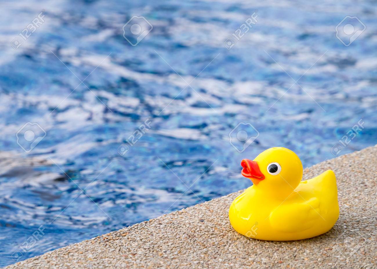 rubber ducky pool