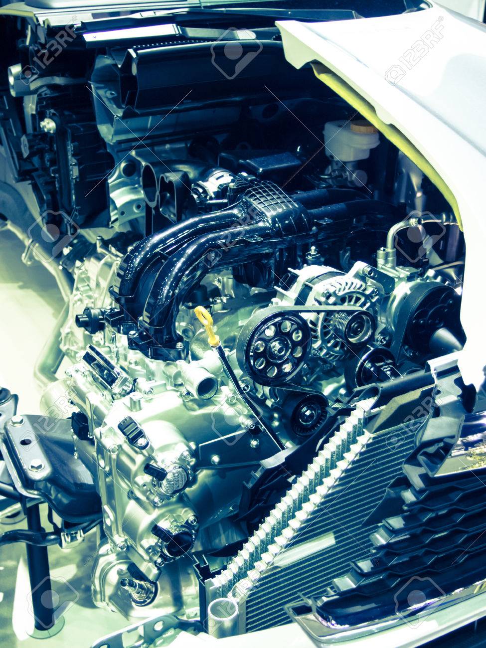 etiam-dictum-ipsum-a-felis