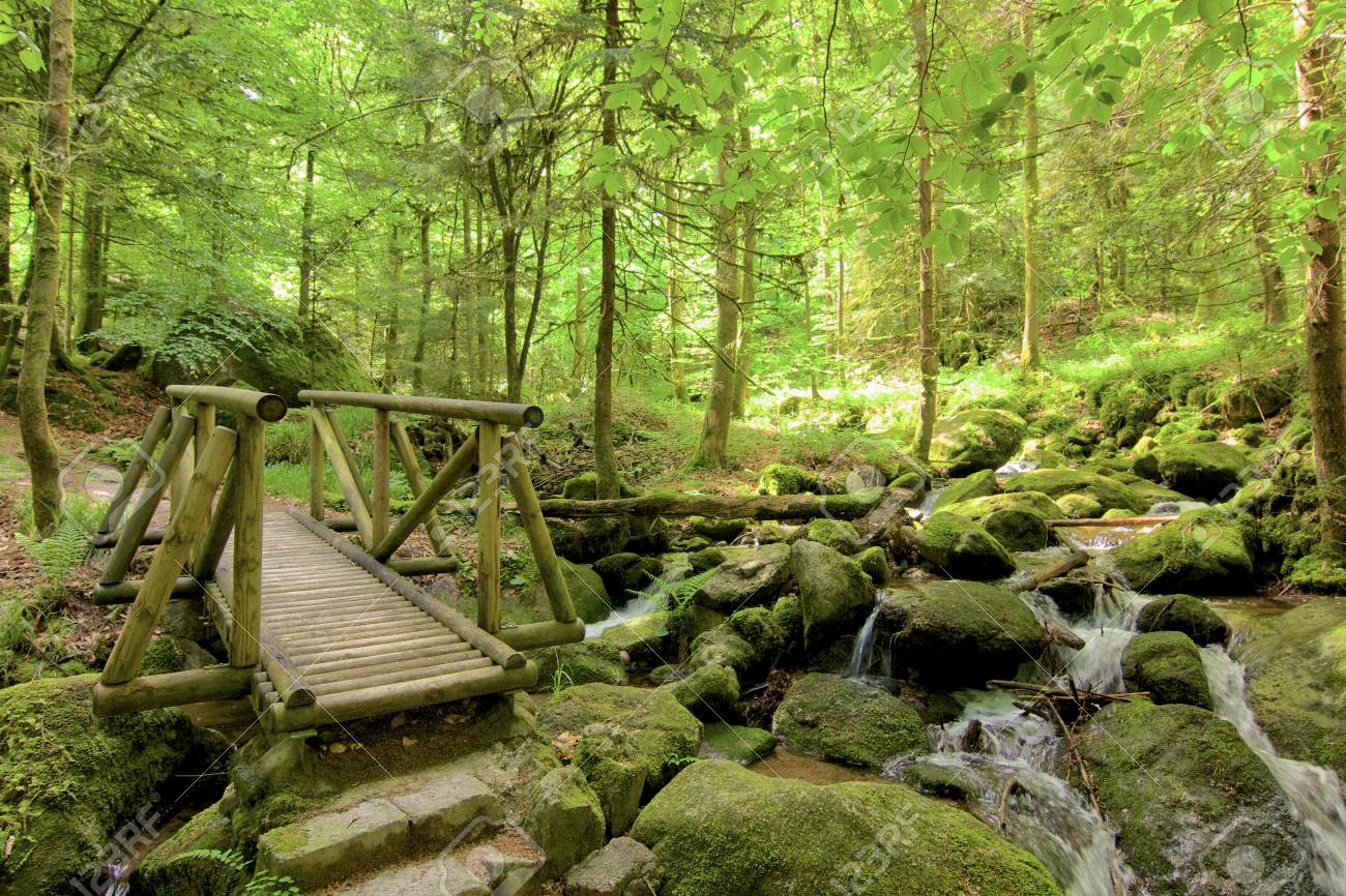 initial backpacks for school