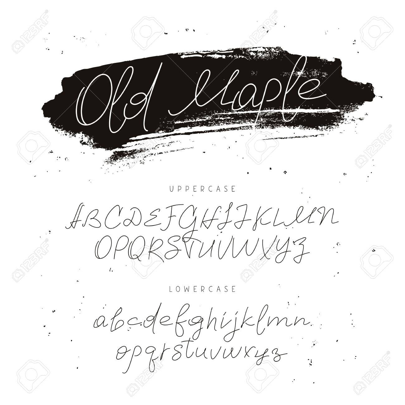 おしゃれなモダンなフォントです 白の背景にベクトルのアルファベット ブラシで手書きの文字 書道 レタリング のイラスト素材 ベクタ Image