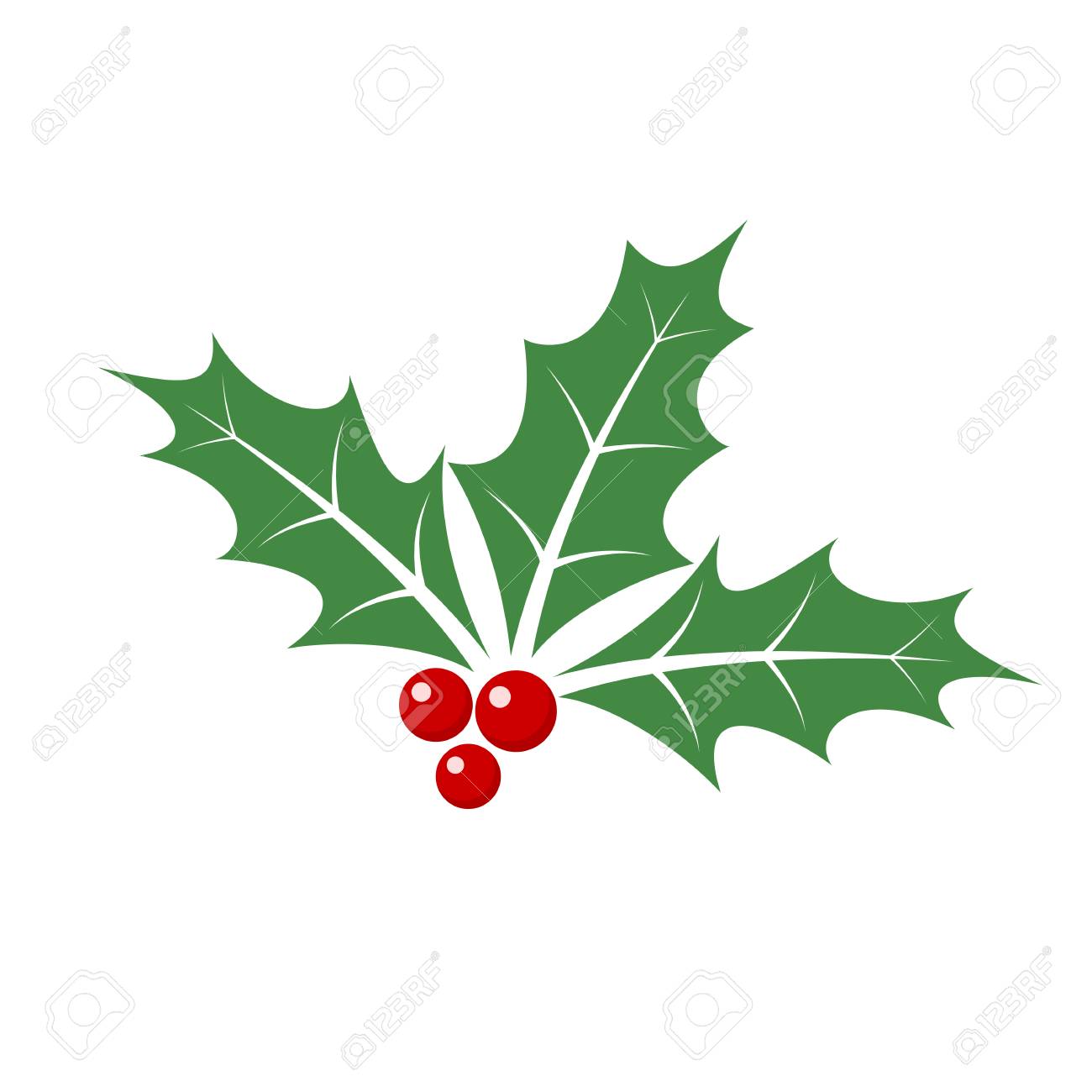 Christmas Holly Berry Leaves Isolated Vector Illustration