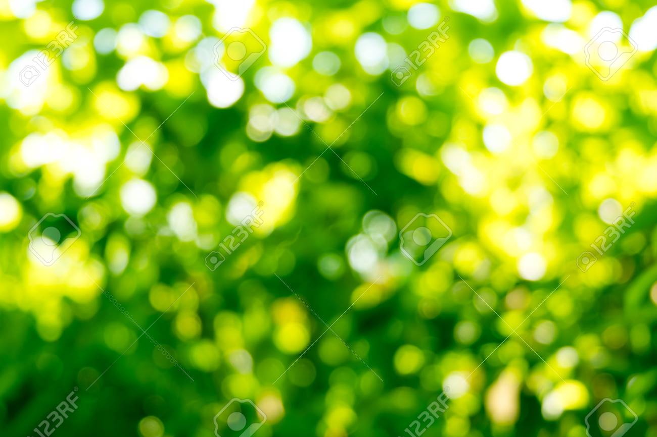 Nature Bokeh Background, Abstract Blurred Bokeh Green Nature ...