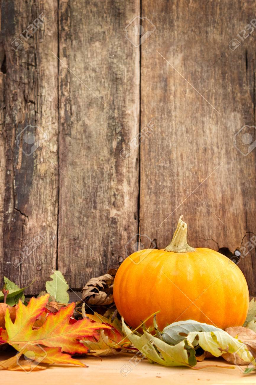 autumn leaves and pumpkin on wooden background - 23796552 autumn leaves and pumpkin on wooden background - 23796552