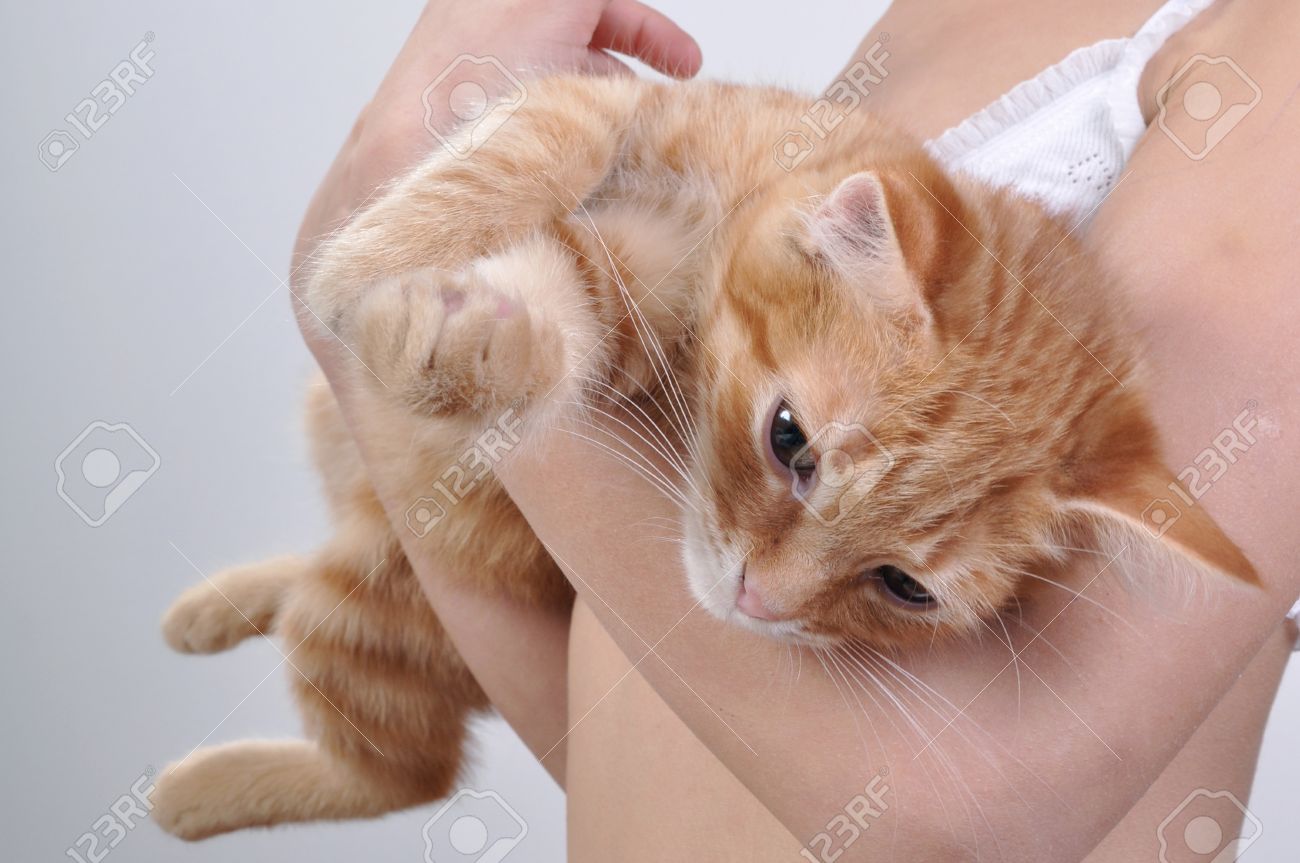 Black Girl Sucking Pussy