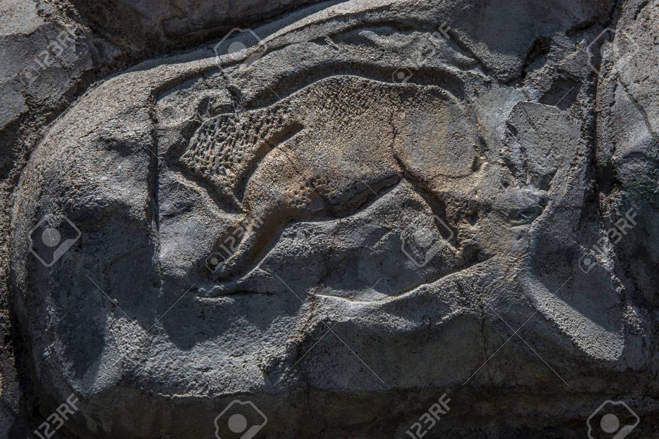 etiam-dictum-ipsum-a-felis