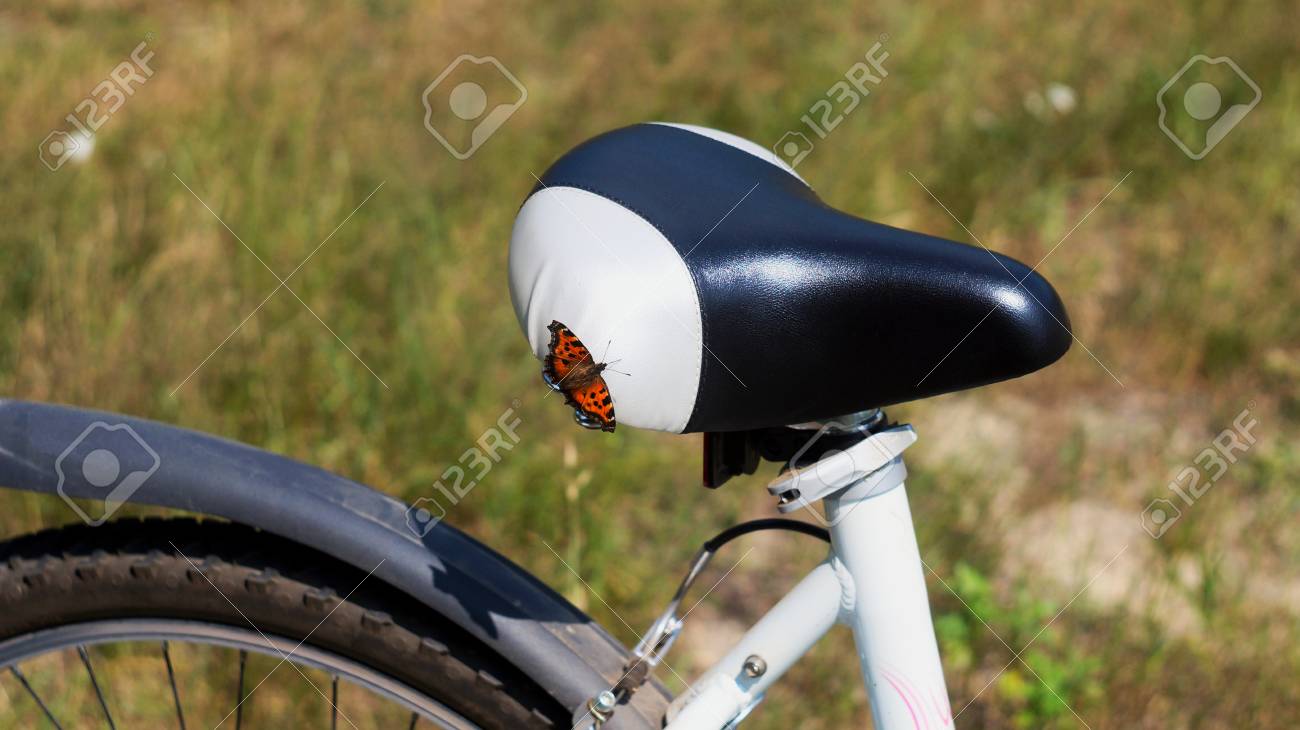 butterfly bike seat
