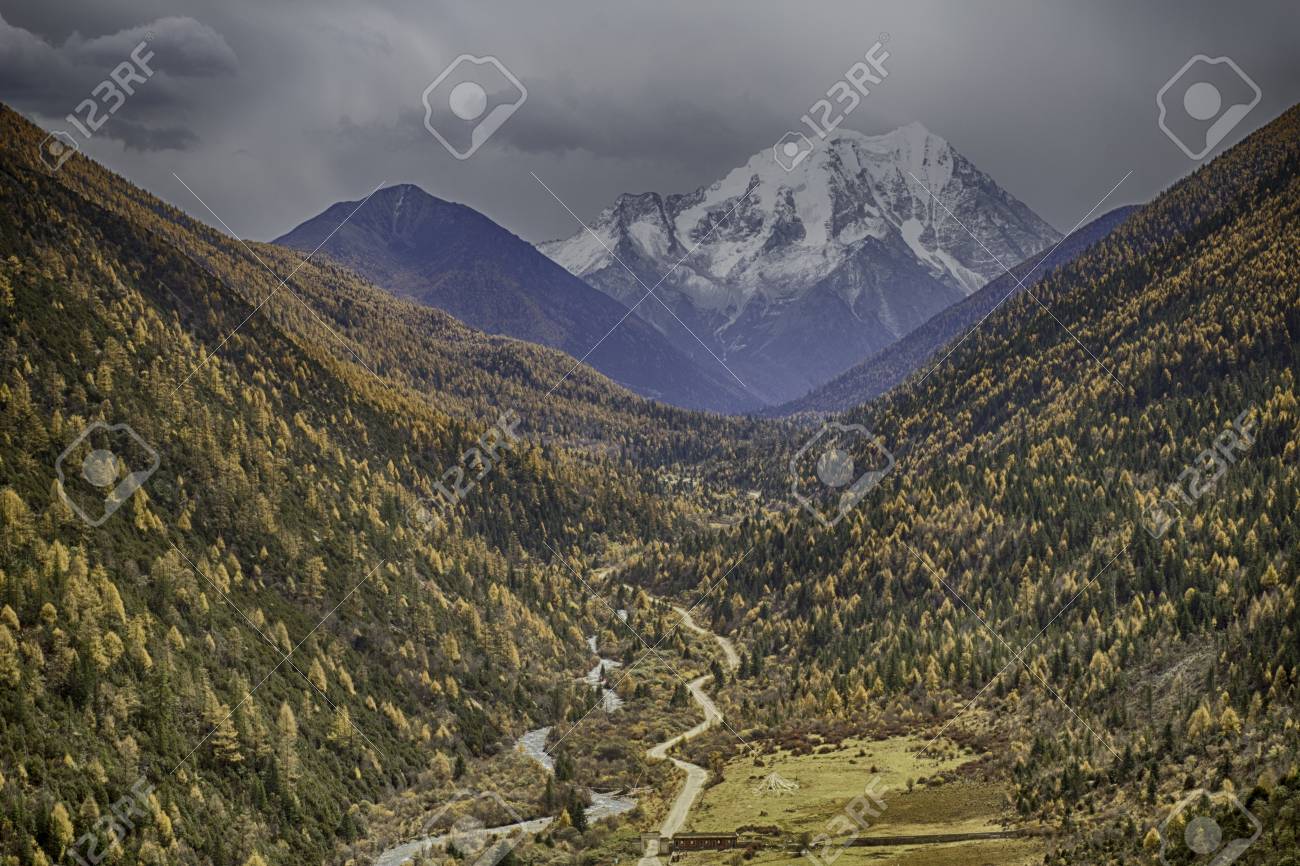 etiam-dictum-ipsum-a-felis