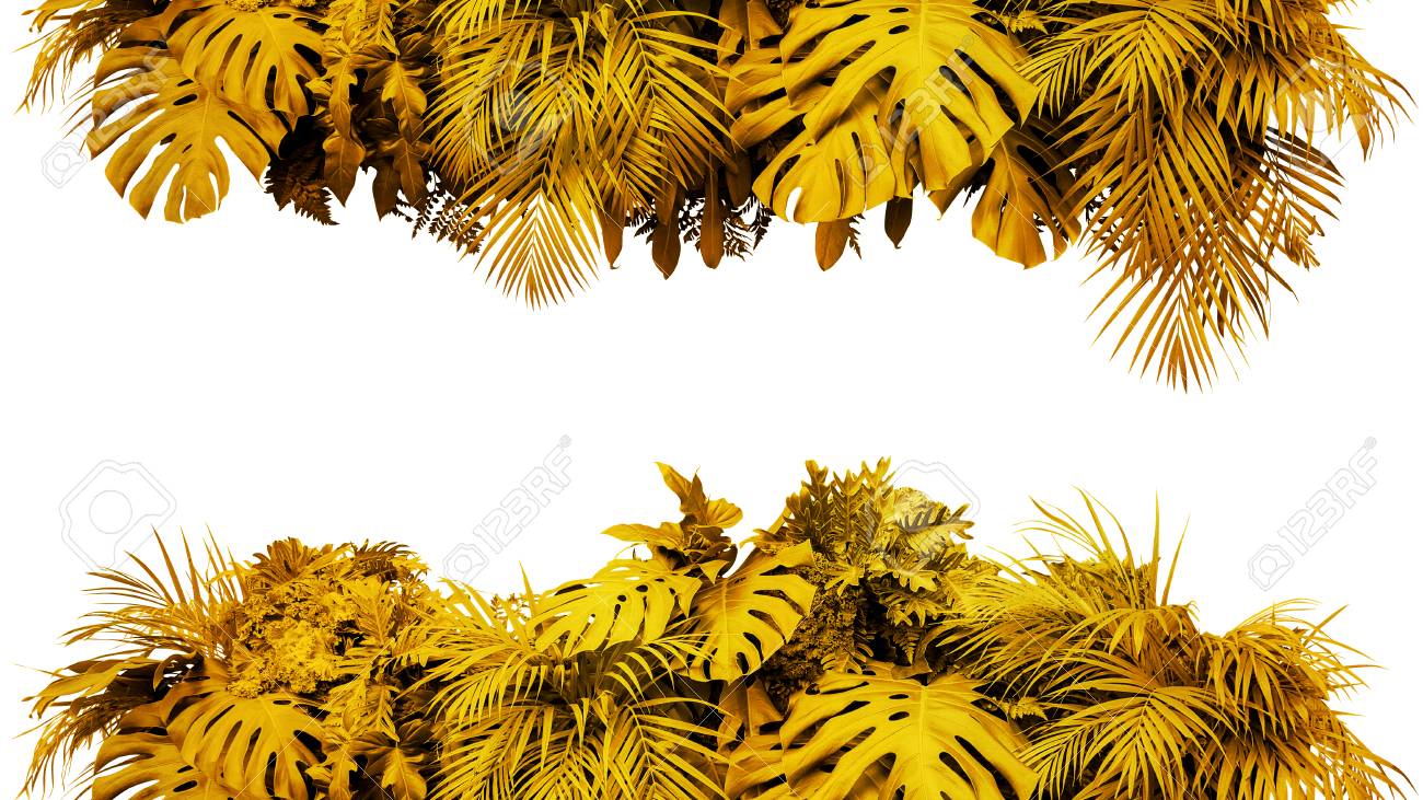 New Years Foliage >> Golden Leaves Tropical Foliage Plant Bush Nature Frame Border New Years Foliage >> Golden Leaves Tropical Foliage Plant Bush Nature Frame Border