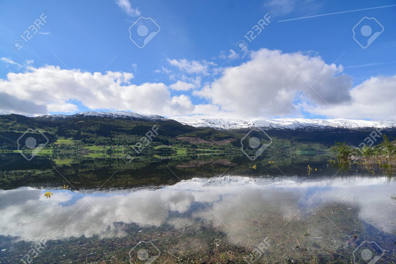 voss water source at