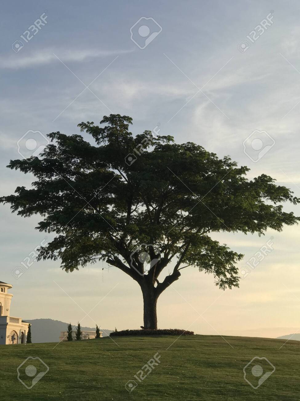 etiam-dictum-ipsum-a-felis