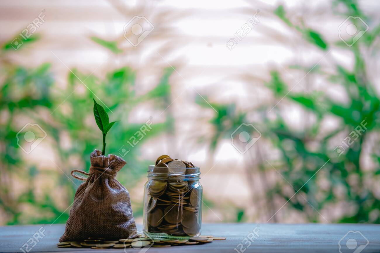 Planting coins in hemp bags - investment ideas for growth - 122398524 Planting coins in hemp bags - investment ideas for growth - 122398524