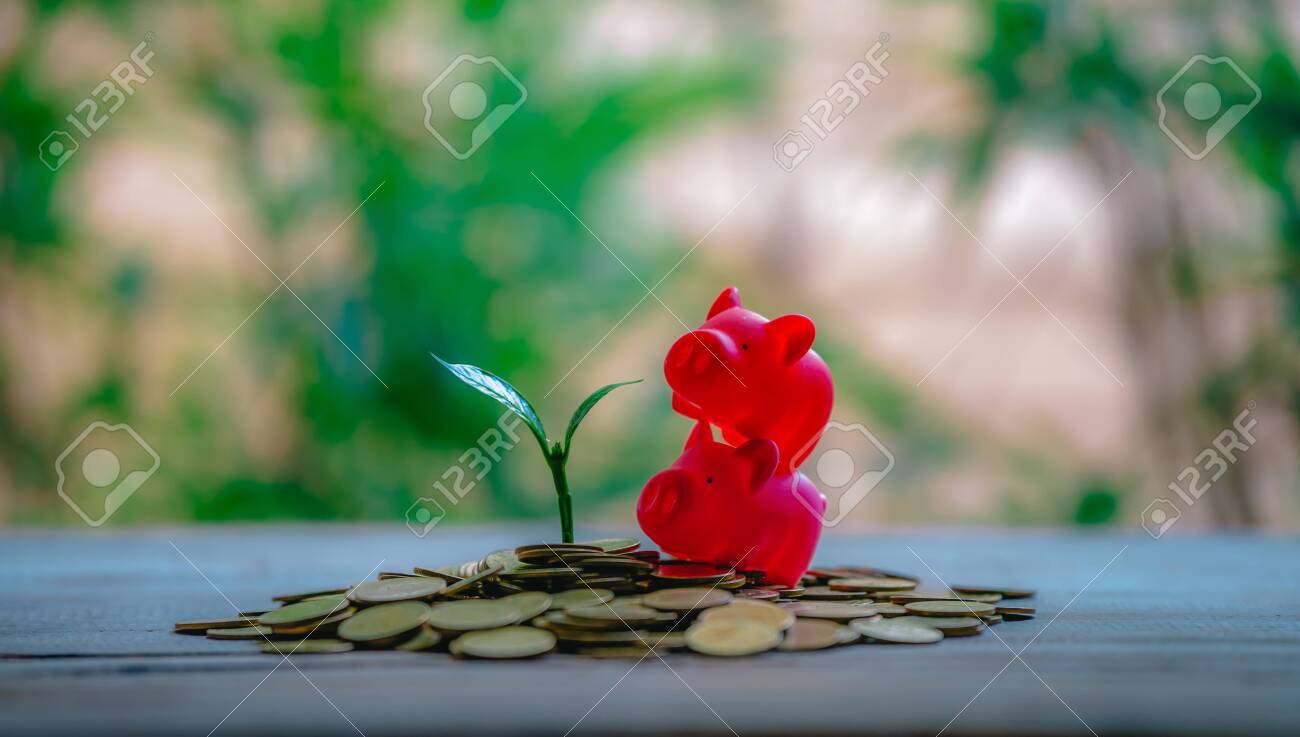 Cropping on coins - investment ideas for growth - 122398531 Cropping on coins - investment ideas for growth - 122398531