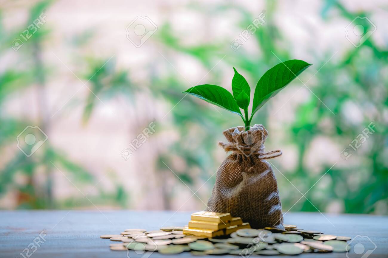 Planting coins in hemp bags - investment ideas for growth - 122398217 Planting coins in hemp bags - investment ideas for growth - 122398217