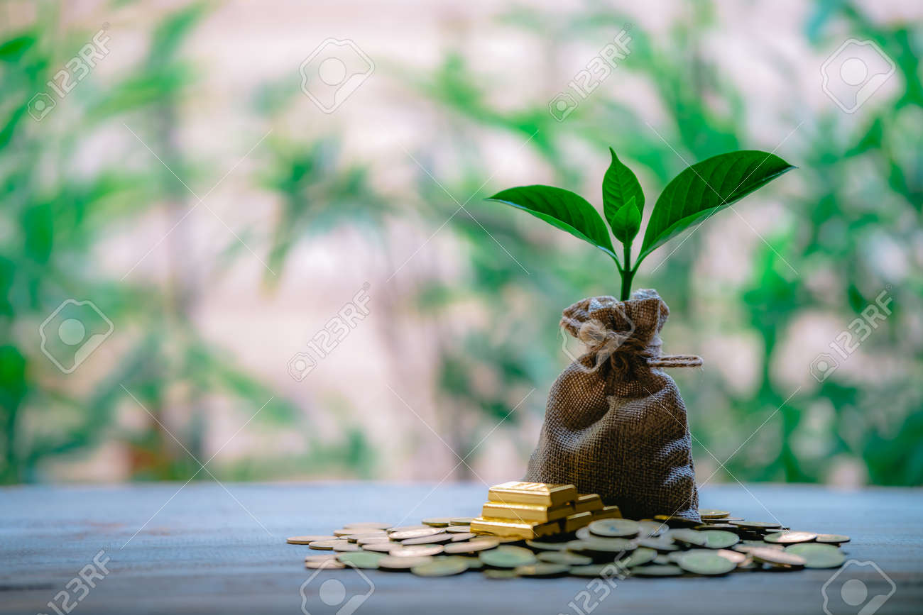 Plant Growing In Savings Coins - Money, Financial, Business Growth concept. - 122398218 Plant Growing In Savings Coins - Money, Financial, Business Growth concept. - 122398218