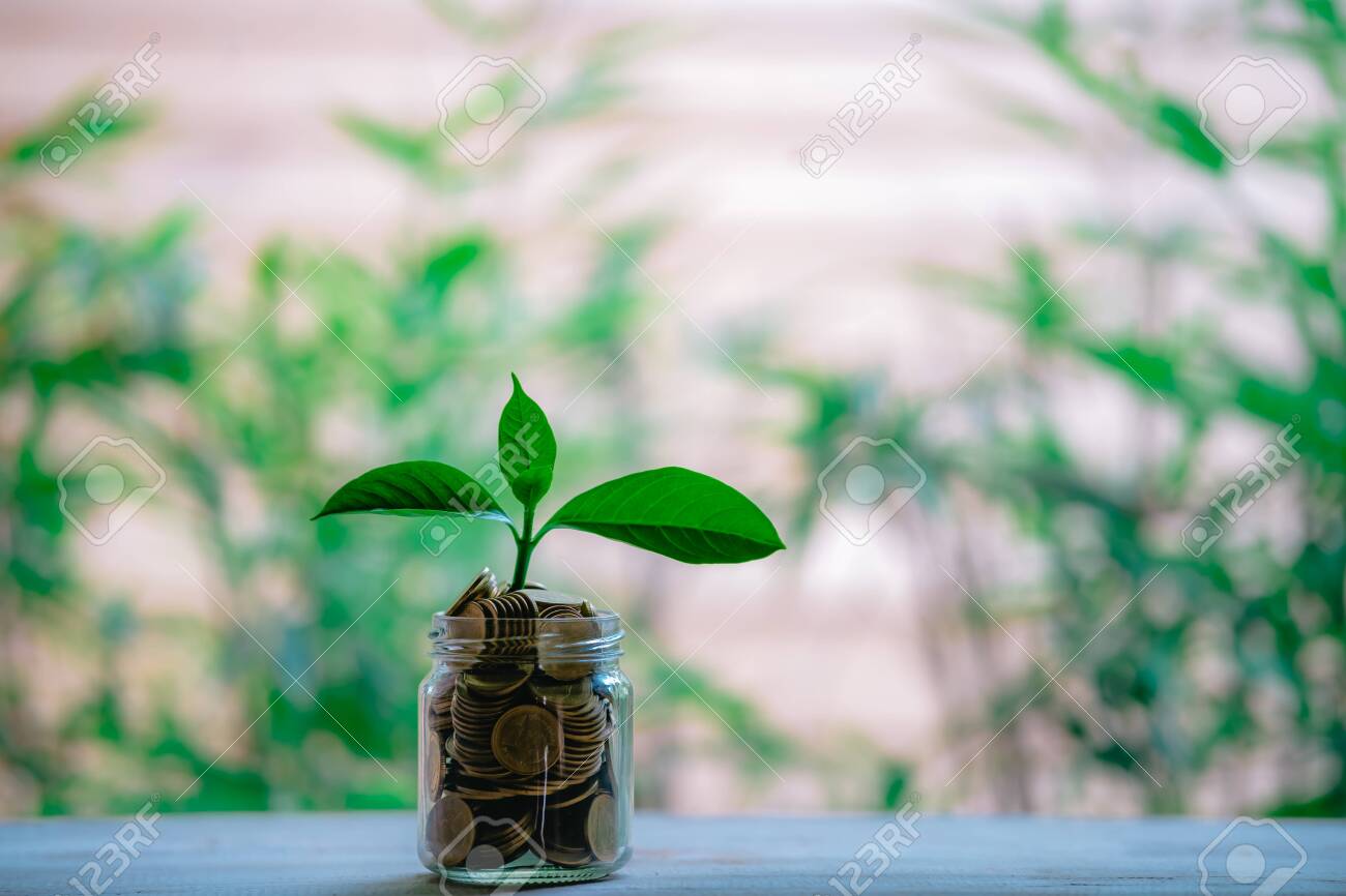 Glass jar with coins Plant seedlings grow on bottles - investment ideas for growth - 122398221 Glass jar with coins Plant seedlings grow on bottles - investment ideas for growth - 122398221