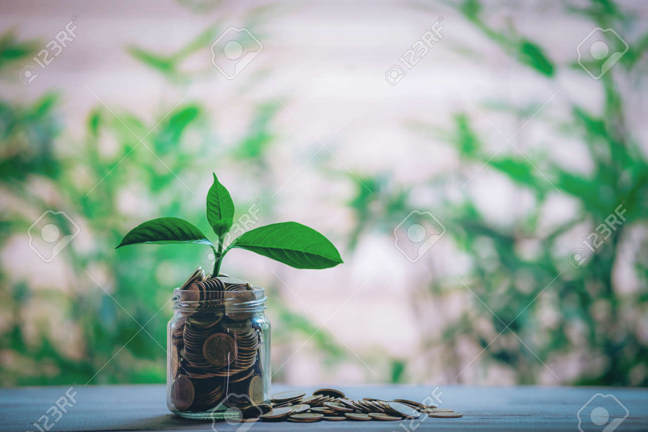 Glass jar with coins Plant seedlings grow on bottles - investment ideas for growth - 122398224 Glass jar with coins Plant seedlings grow on bottles - investment ideas for growth - 122398224
