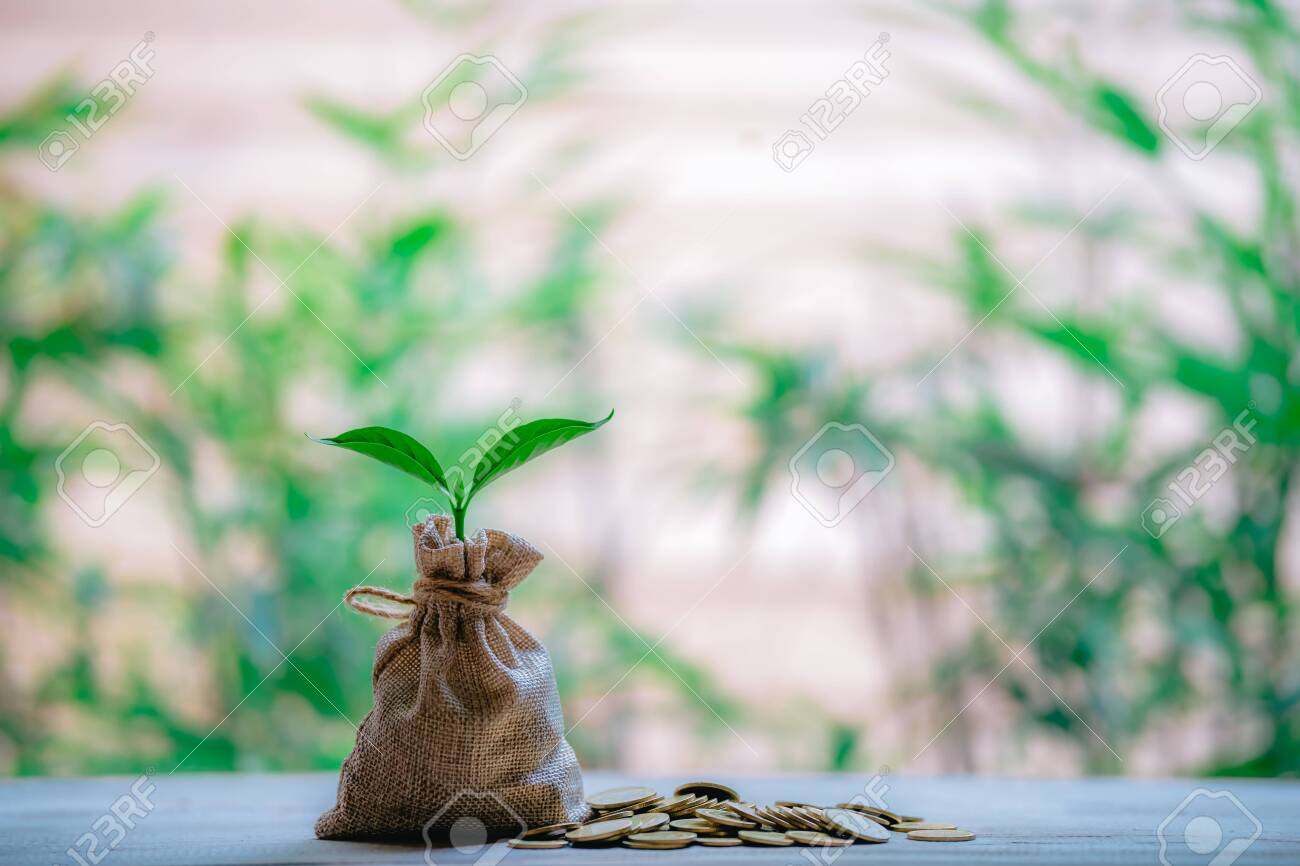Planting coins in hemp bags - investment ideas for growth - 122398225 Planting coins in hemp bags - investment ideas for growth - 122398225