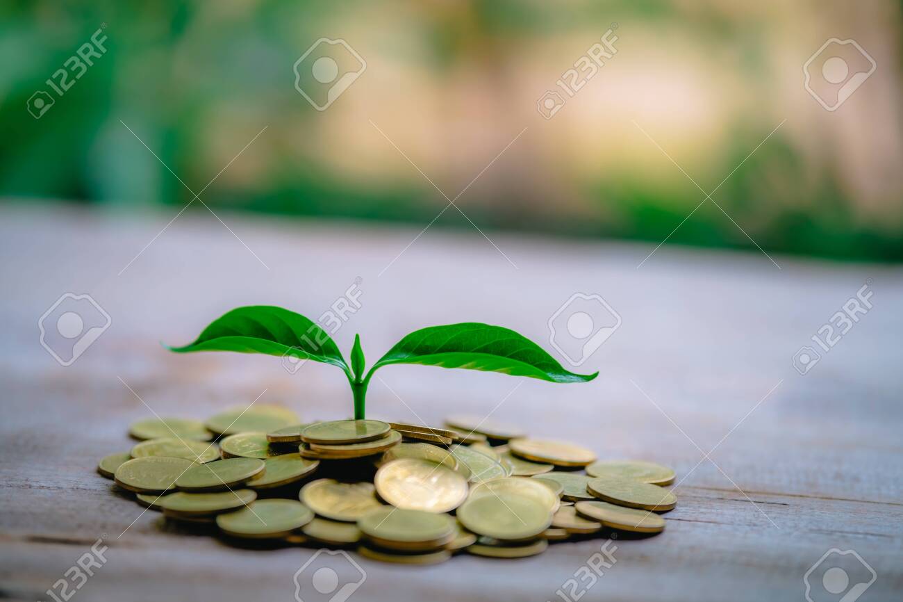 Cropping on coins - investment ideas for growth - 122398226 Cropping on coins - investment ideas for growth - 122398226