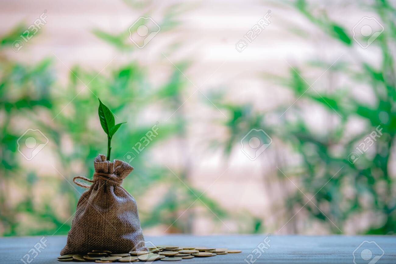 Planting coins in hemp bags - investment ideas for growth - 122398228 Planting coins in hemp bags - investment ideas for growth - 122398228