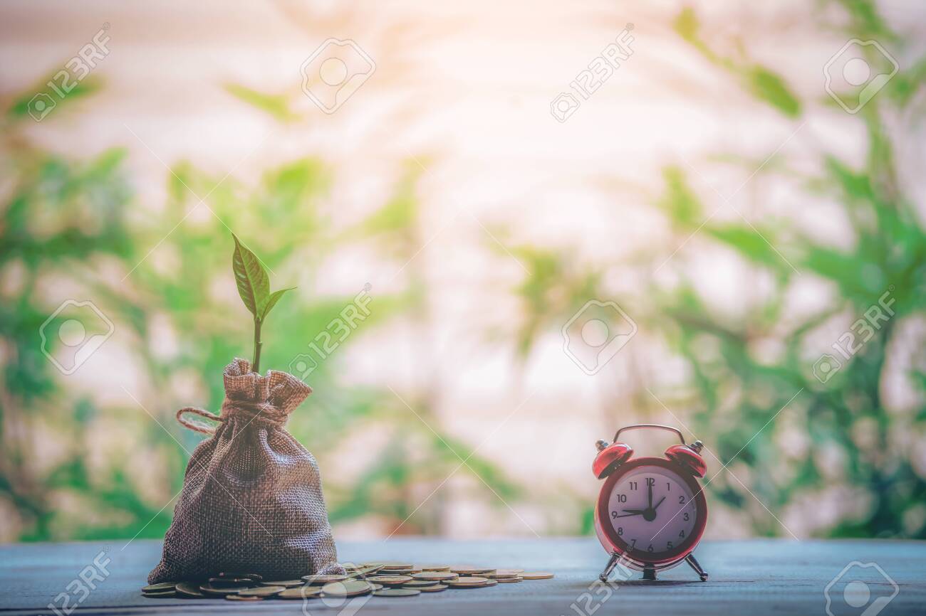 Small house and coins. The concept of saving money, investment properties - 122398064 Small house and coins. The concept of saving money, investment properties - 122398064