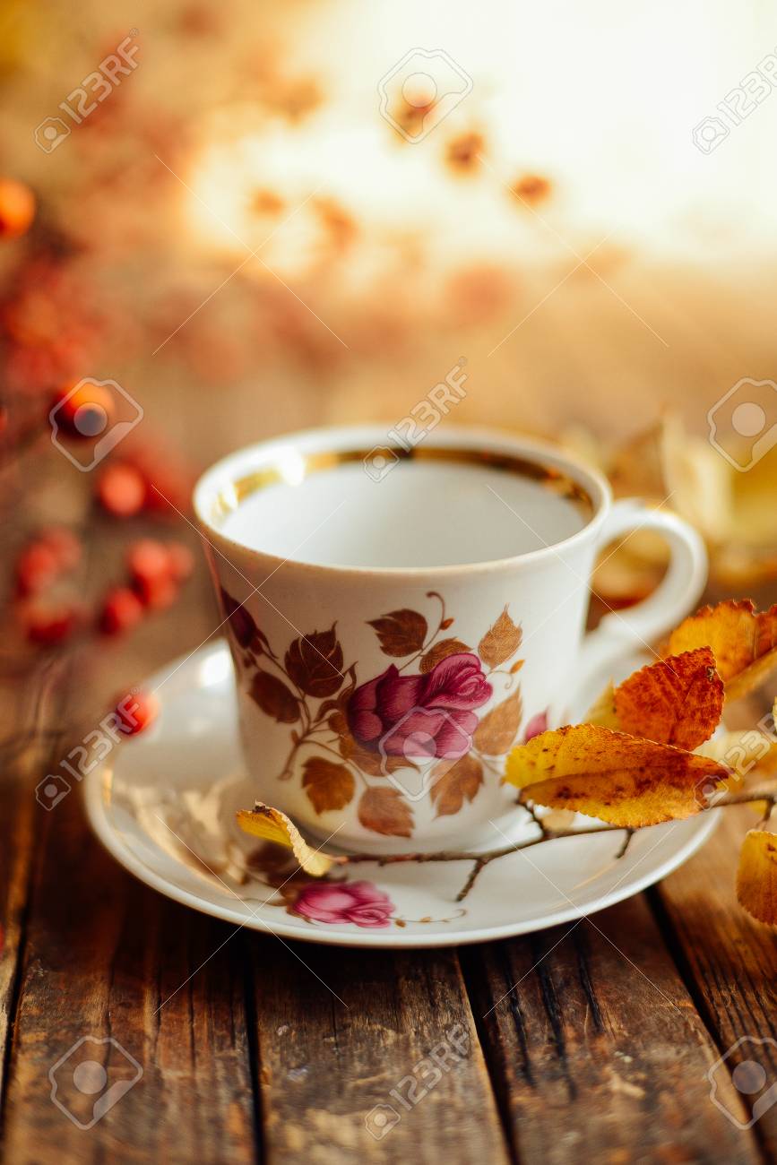 Tee Im Rustikalen Chic Stil Tee Party Gruner Tee In Eine Tasse Und Untertasse Teekanne Zuckerdose Set Geschirr Fur Tee Teekanne Gesunder Krautertee Trockene Blumen Tasse Tee Mit Herbst Dekor Auf Dem Tisch Lizenzfreie