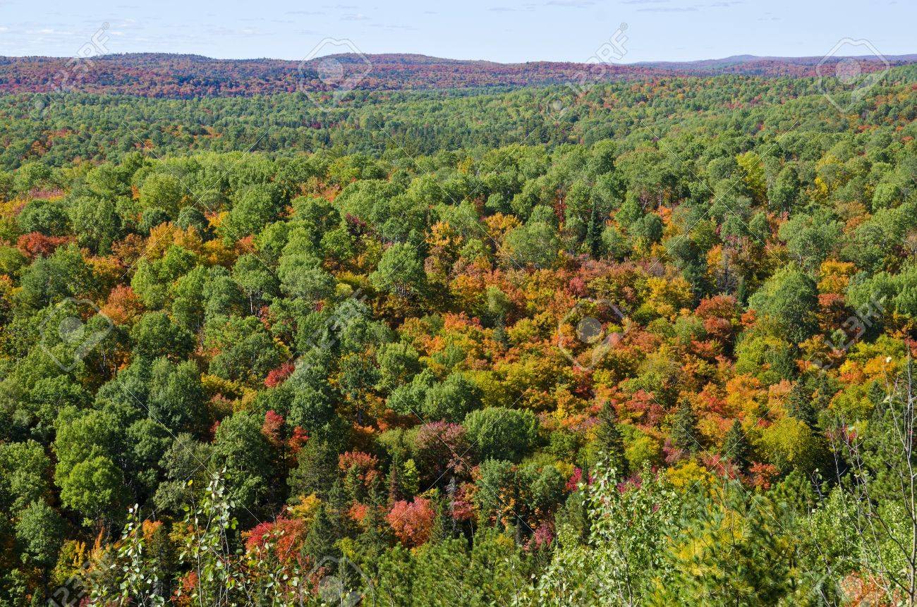 lookout trail algonquin
