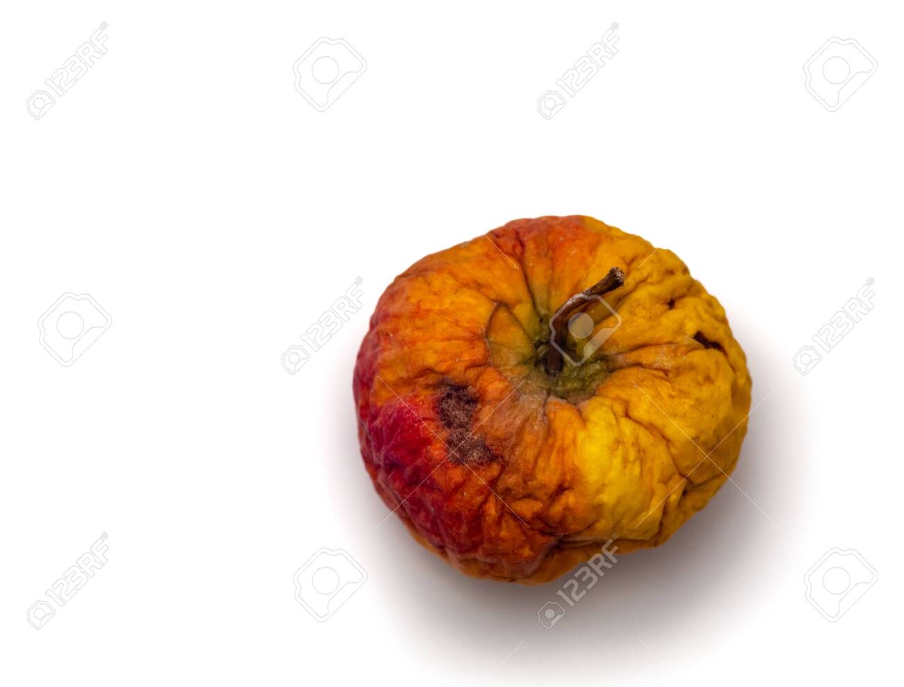 etiam-dictum-ipsum-a-felis