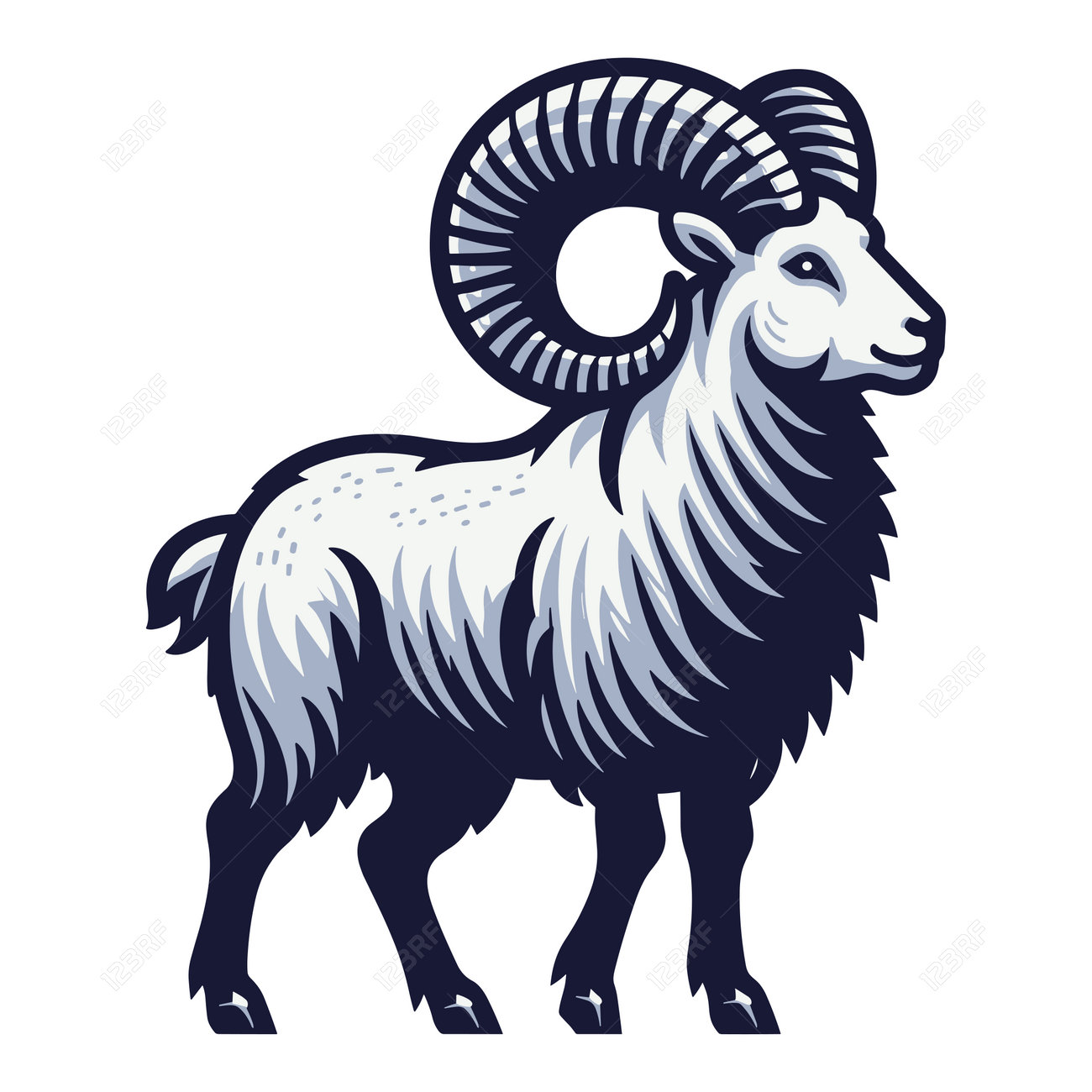 Horned Ram Bighorn Sheep Full Body Vector Illustration, Animal Livestock,  Farm Pet, Agriculture Concept, Butchery Meat Shop Element Design Isolated  On White Background Royalty Free SVG, Cliparts, Vectors, and Stock  Illustration. Image, image size:1300x1300