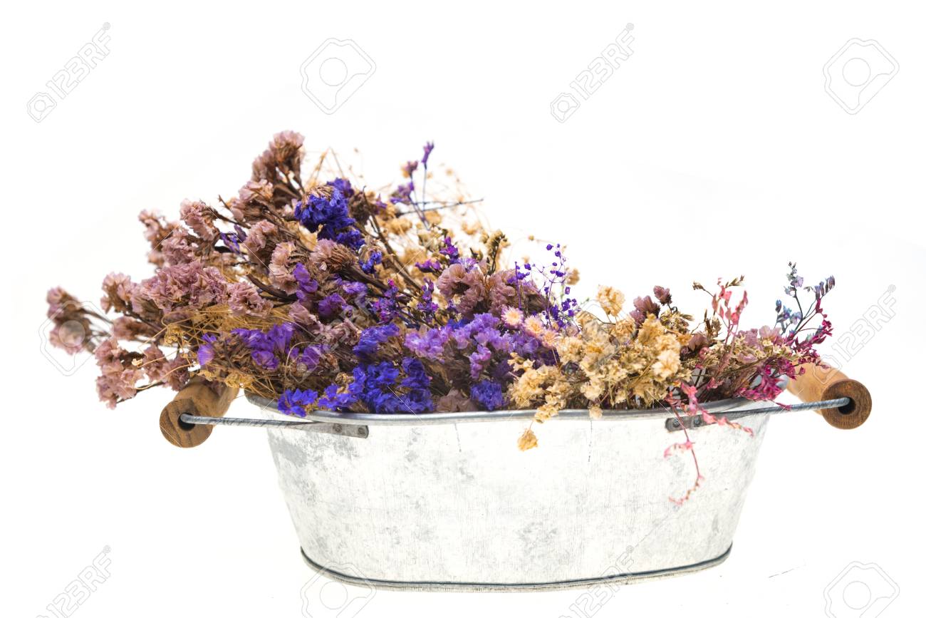 白い背景に隔離された夏のカラフルな乾燥した花 の写真素材 画像素材 Image