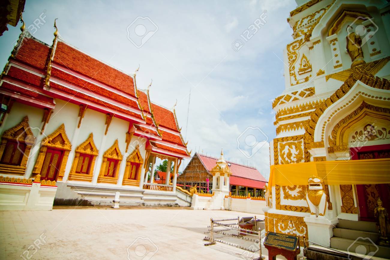 etiam-dictum-ipsum-a-felis