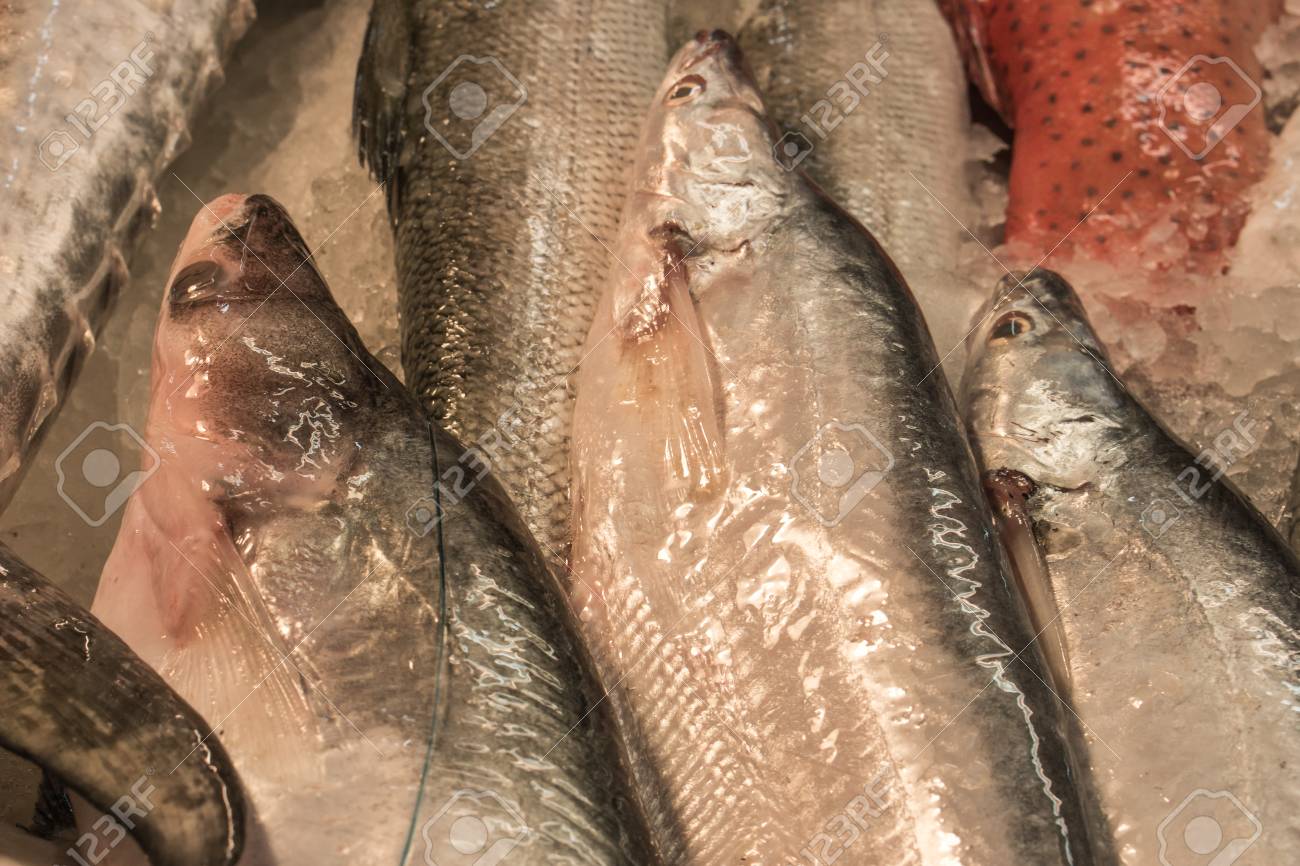 常夏の国 タイのバンコクでの魚介類の市場で氷を新鮮な生の魚 の写真素材 画像素材 Image