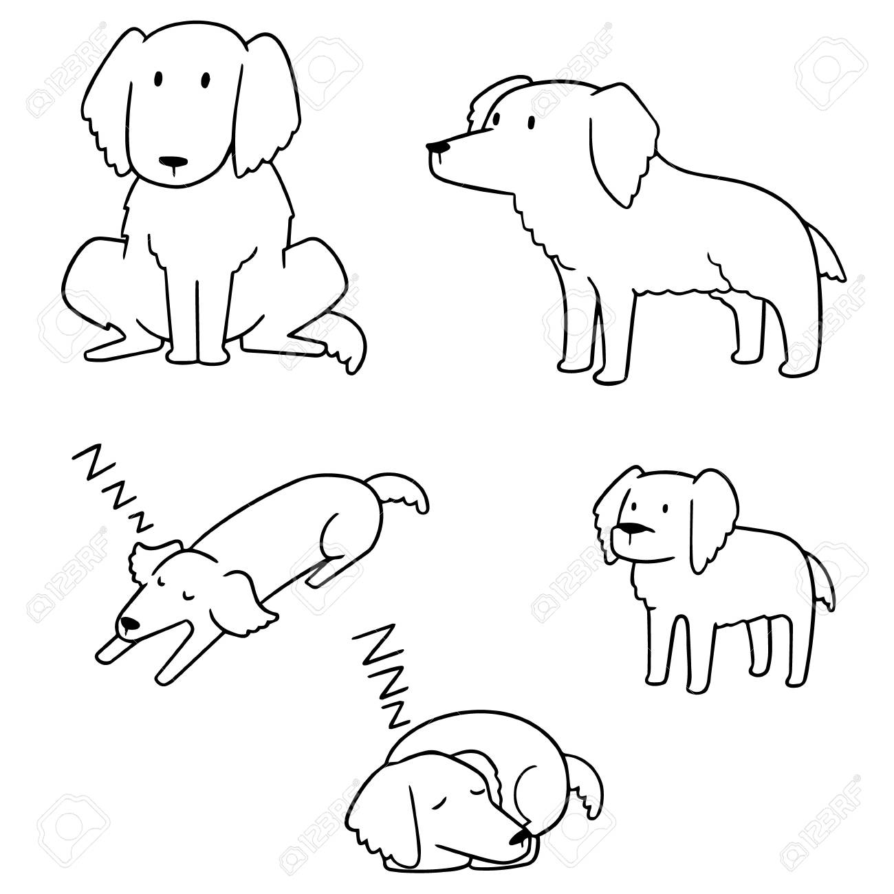 Vector Set Of Dog, Golden Retriever In Different Position Illustration.  Royalty Free SVG, Cliparts, Vectors, and Stock Illustration. Image 92626047., image size:1300x1300
