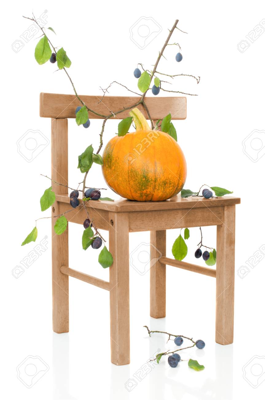 banque dimages mr citrouille dautomne sur une chaise rustique avec quetsches sur fond blanc - Chaise Rustique banque dimages mr citrouille dautomne sur une chaise rustique avec quetsches sur fond blanc - Chaise Rustique