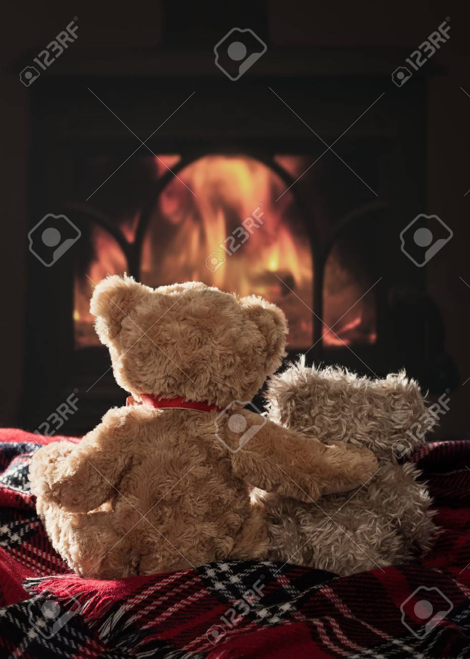 scruffy teddy bear