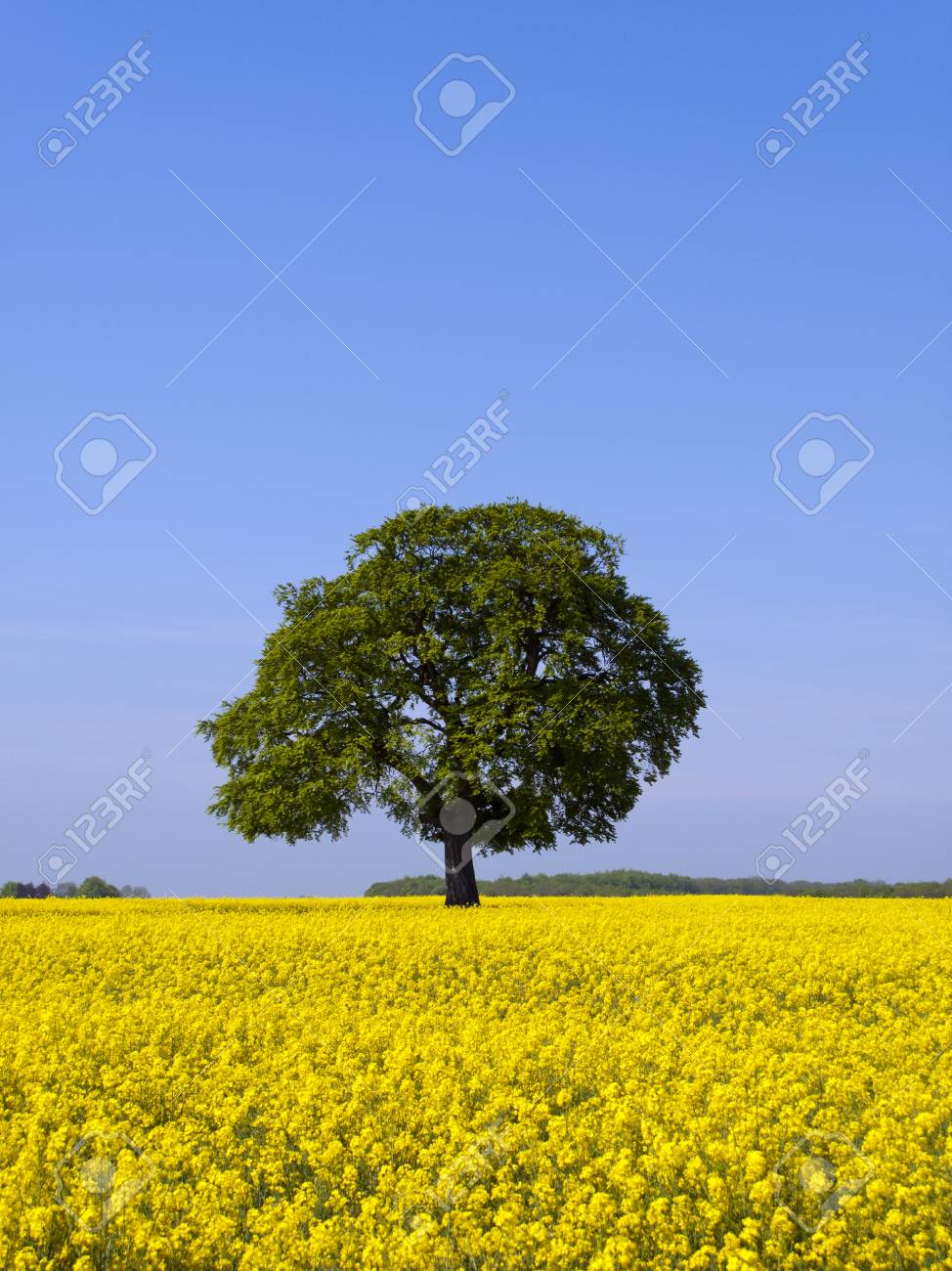mature summer uk Mature summer uk