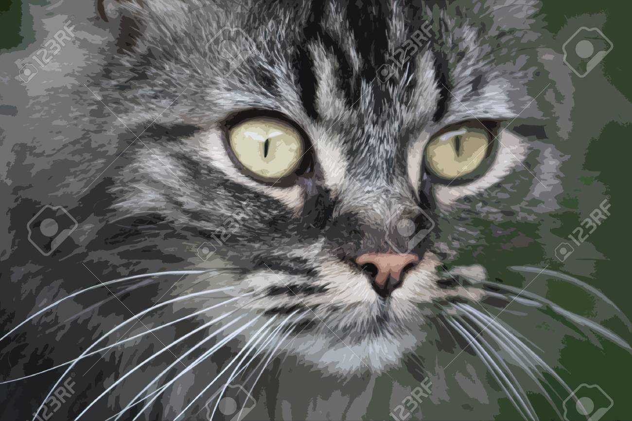 非常にかわいい長い髪茶色と黒ふちおとなしい人長いひげと巨大な目 のイラスト素材 ベクタ Image