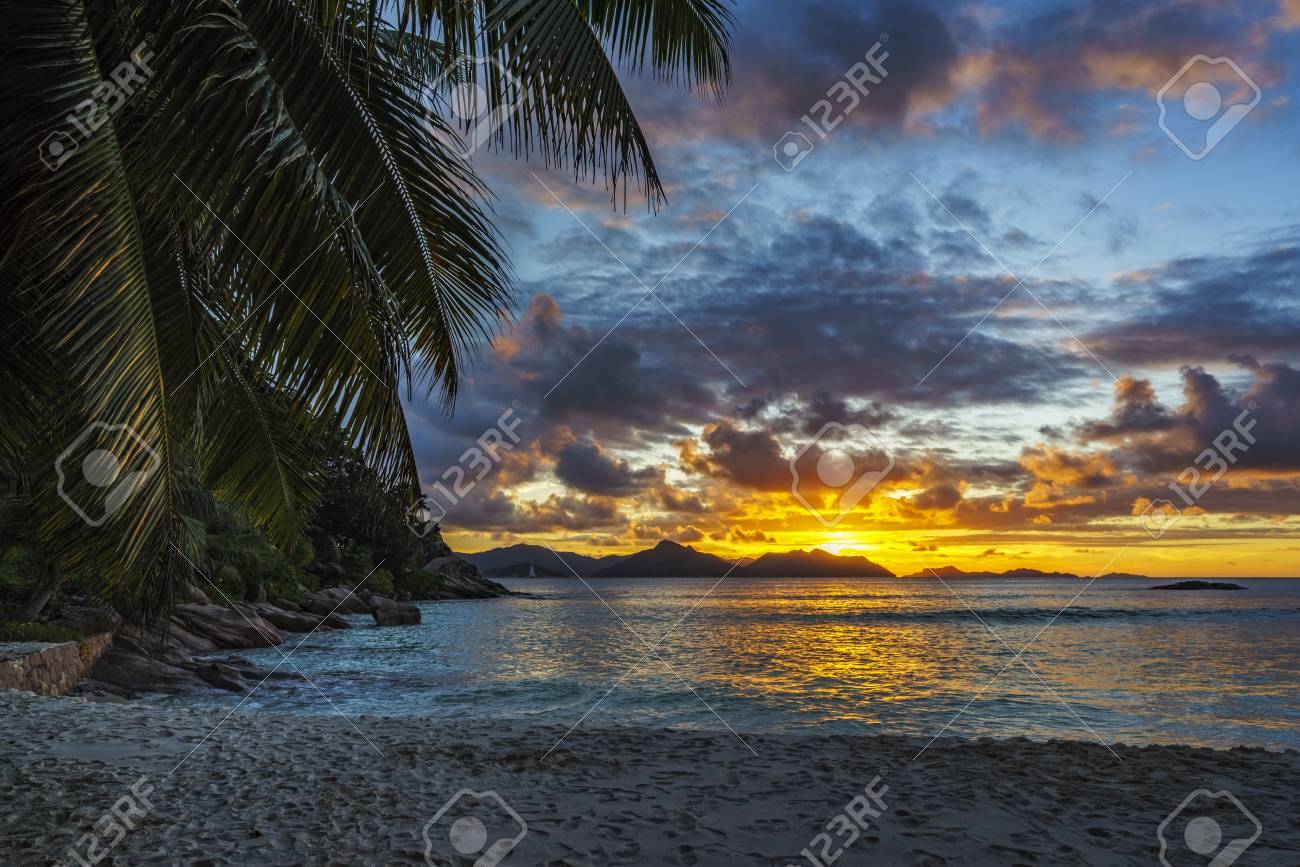 Beau Coucher De Soleil Romantique à Travers Une Feuille De Palmier Sur La Plage Du Paradis à Lanse Sévère La Digue Seychelles