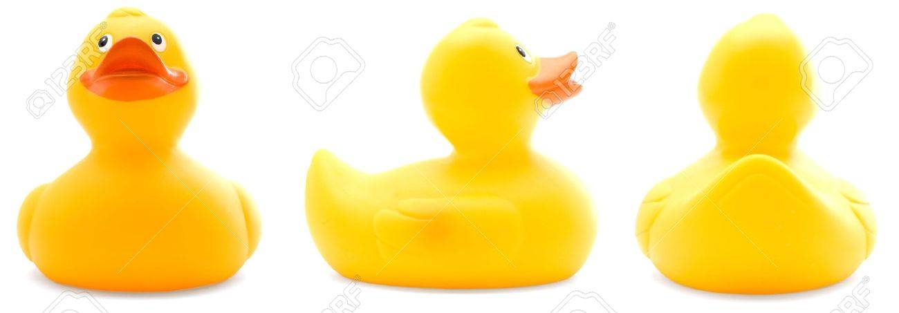 rubber duck