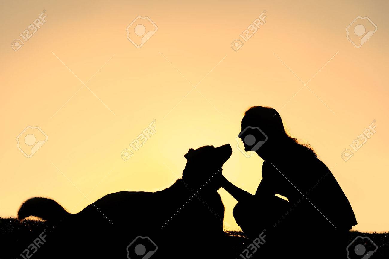 Silhouette Vogel Schablone, Silhouette, Tier, Tiere png | PNGEgg, image size:1300x866