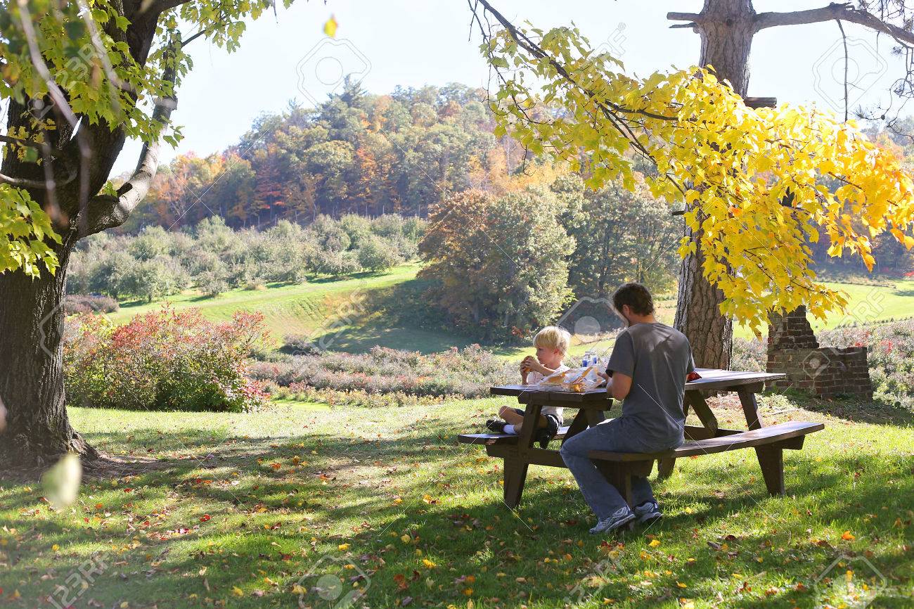 A father and son eat a picnic outside under a maple tree by a sweeping Landscape of Cain's Apple Orchard in Hixton Wisconsin, with Apple trees, blueberry Bushes and grape vinyard. - 46334273 A father and son eat a picnic outside under a maple tree by a sweeping Landscape of Cain's Apple Orchard in Hixton Wisconsin, with Apple trees, blueberry Bushes and grape vinyard. - 46334273