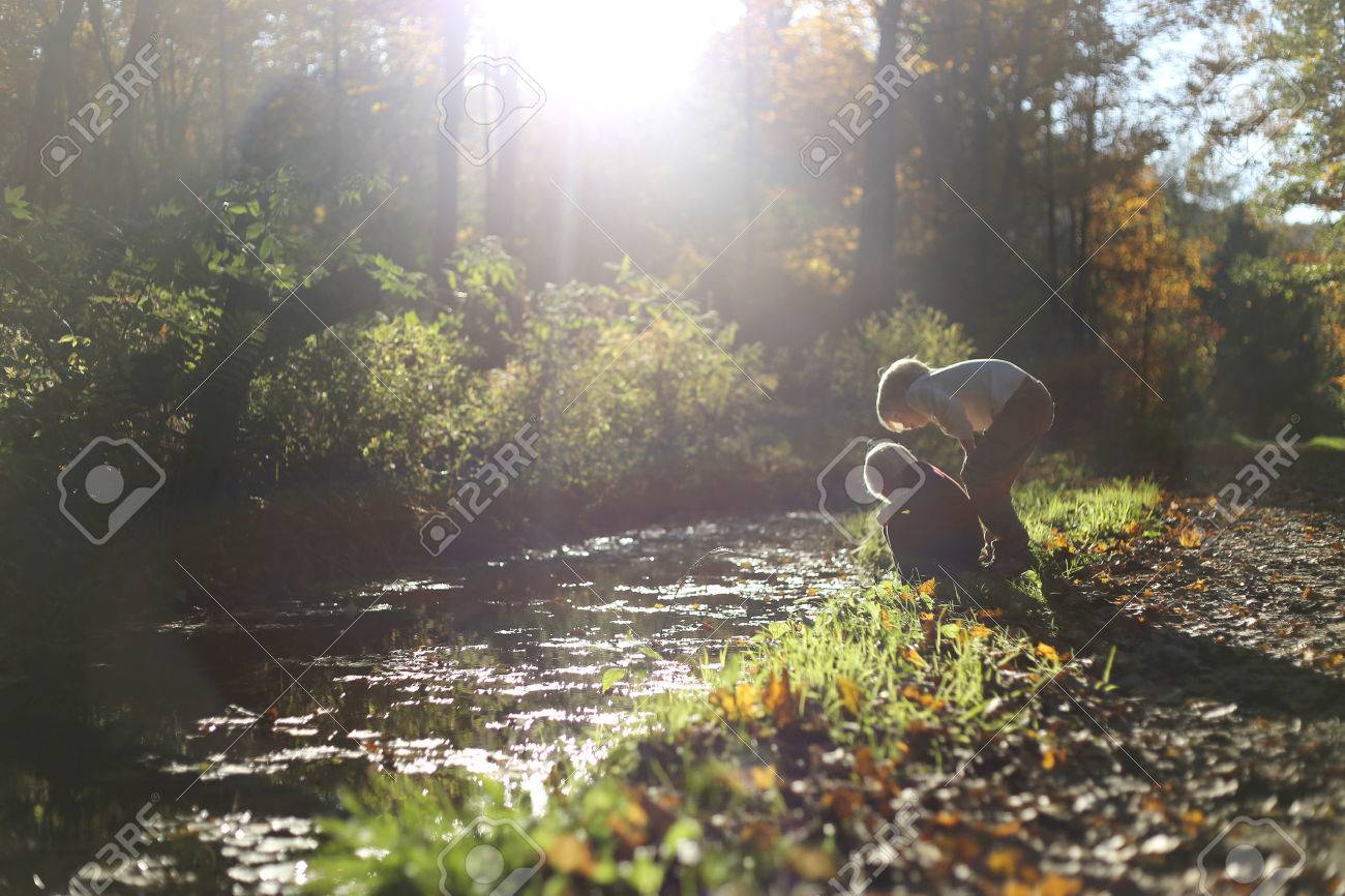 Two young boy children are looking in the water of a small stream as they are exploring outside in the woods on a dirt path. - 46334275 Two young boy children are looking in the water of a small stream as they are exploring outside in the woods on a dirt path. - 46334275