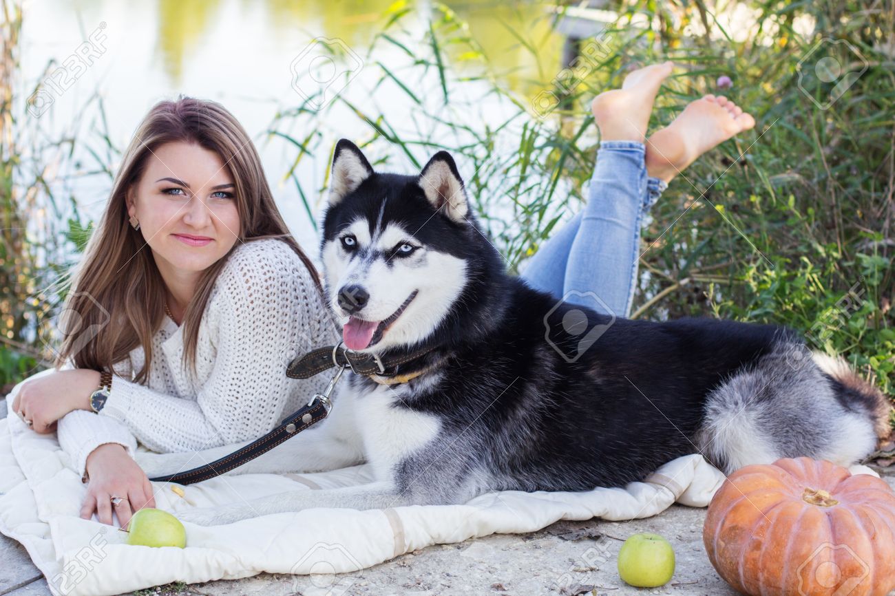 The Dog Breed Siberian Husky Is Sitting On Green Grass Stock Photo Picture And Royalty Free Image Image 60649934