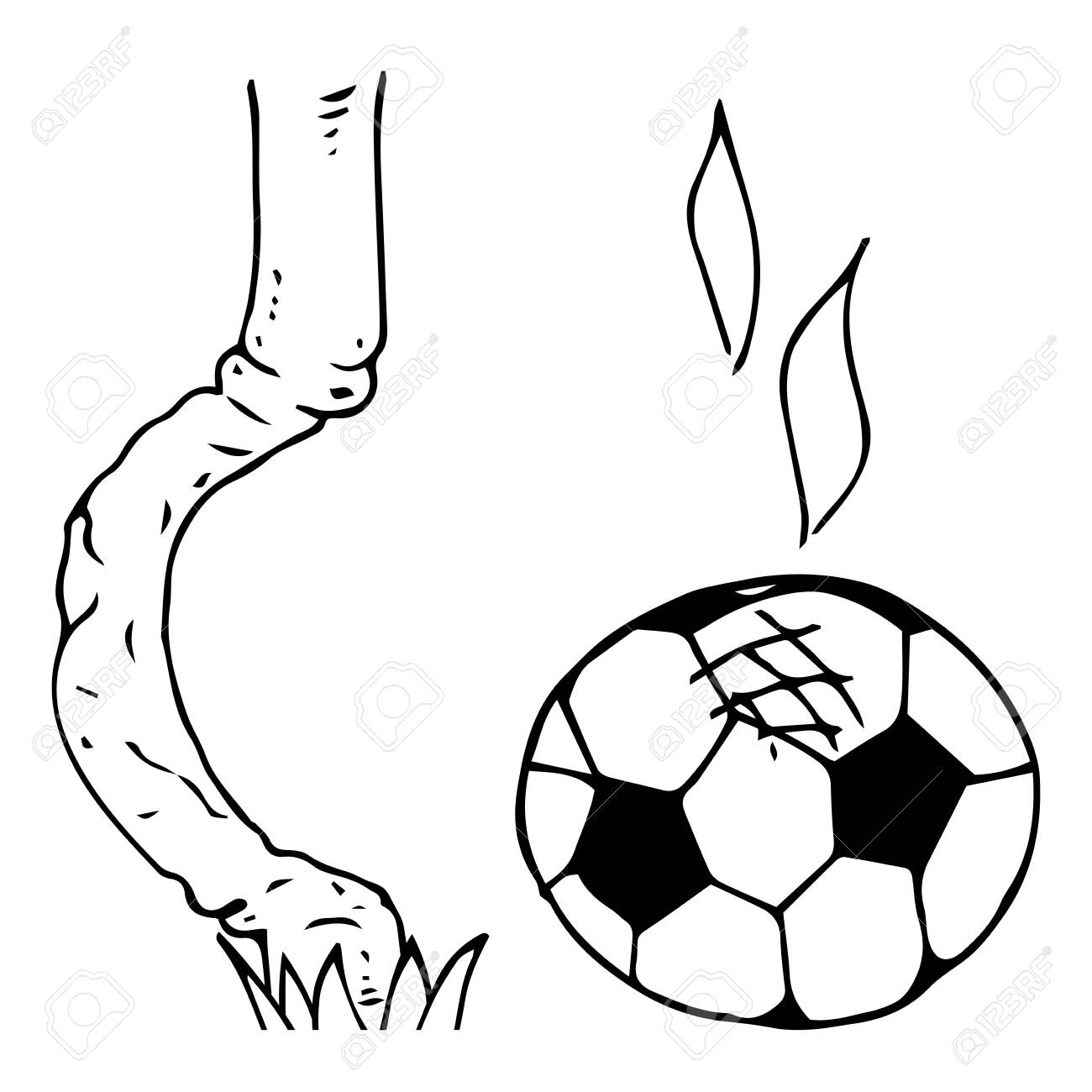Soccer Ball Icon Vector Illustration Of A Soccer Ball Hit The Goal Of A Football Goal Hand Drawn Football Goalpost With Ball Royalty Free Cliparts Vectors And Stock Illustration Image Soccer Ball Icon Vector Illustration Of A Soccer Ball Hit The Goal Of A Football Goal Hand Drawn Football Goalpost With Ball Royalty Free Cliparts Vectors And Stock Illustration Image
