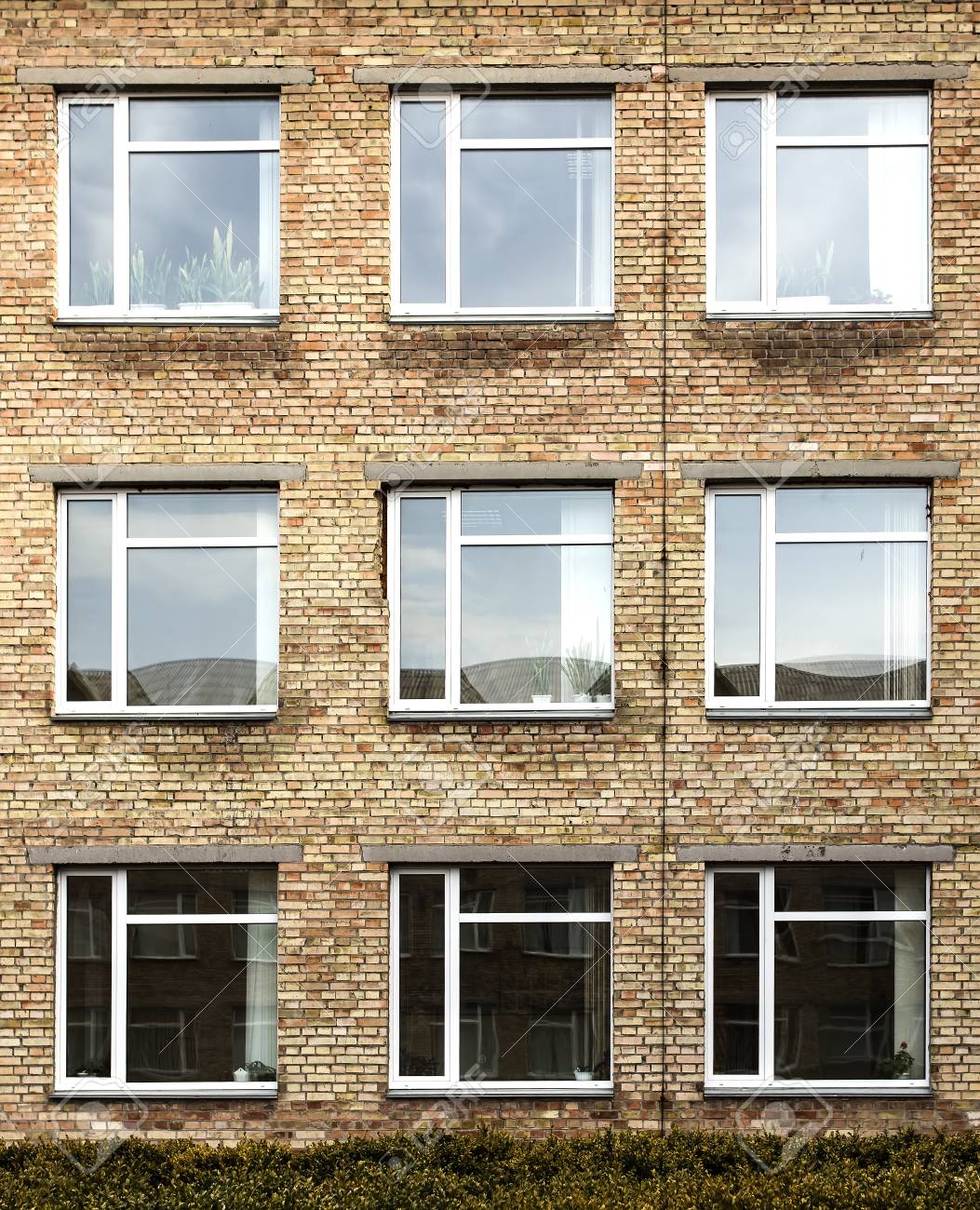 etiam-dictum-ipsum-a-felis