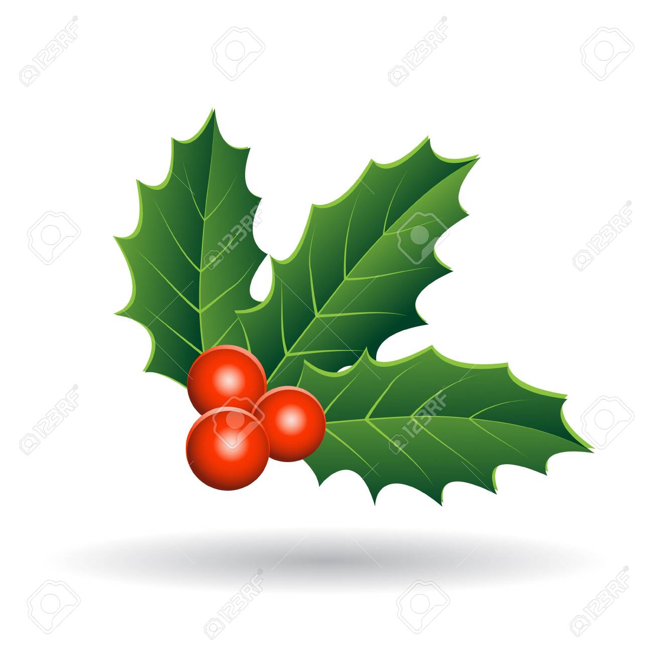 Illustration Of Holly Berries With Green Leaves Isolated On A Stock Photo Picture And Royalty Free Image Image 129953548
