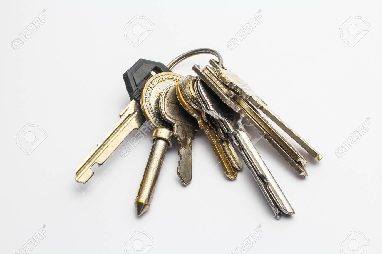 etiam-dictum-ipsum-a-felis