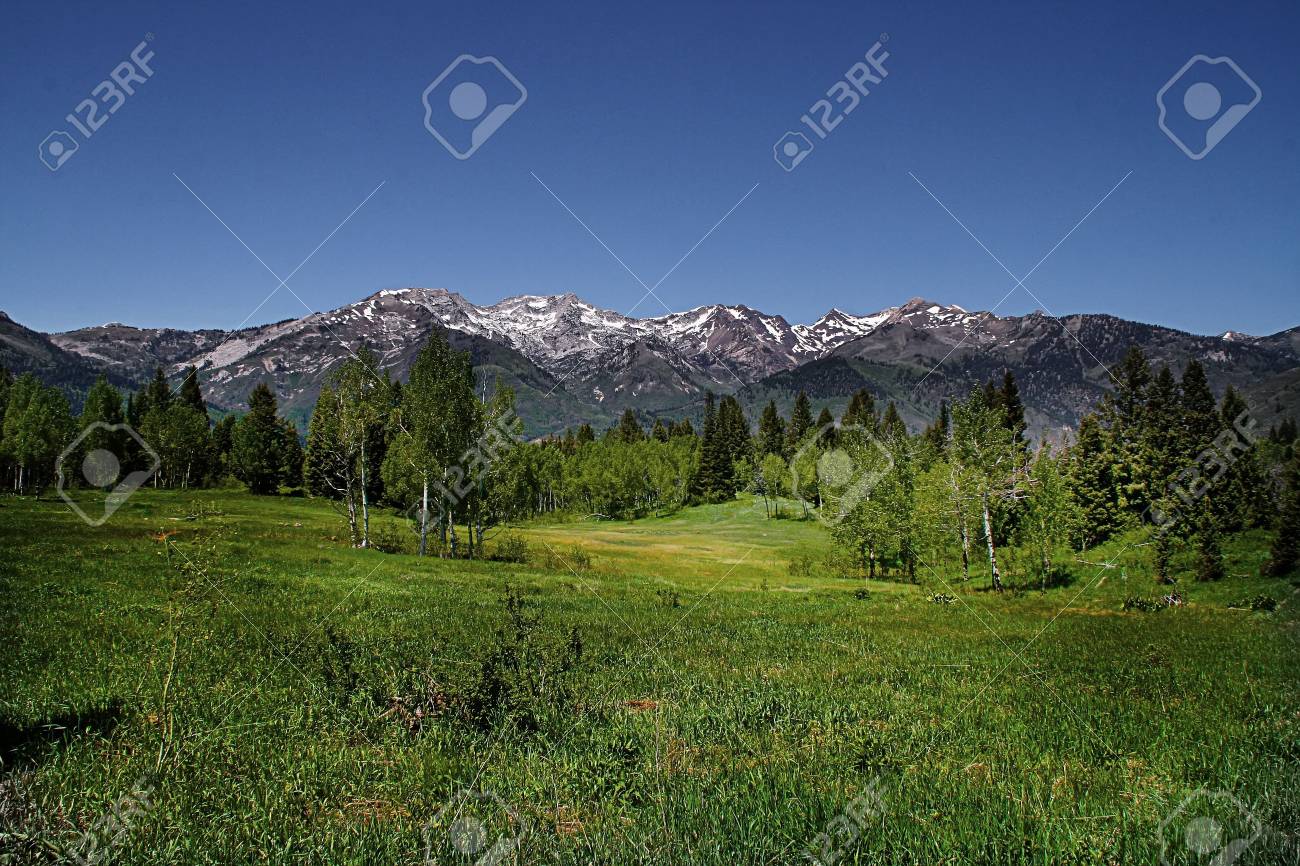 Appartement De Montagne Au Printemps Montrant Toutes Les Couleurs Avec Des Montagnes à Larrière Plan