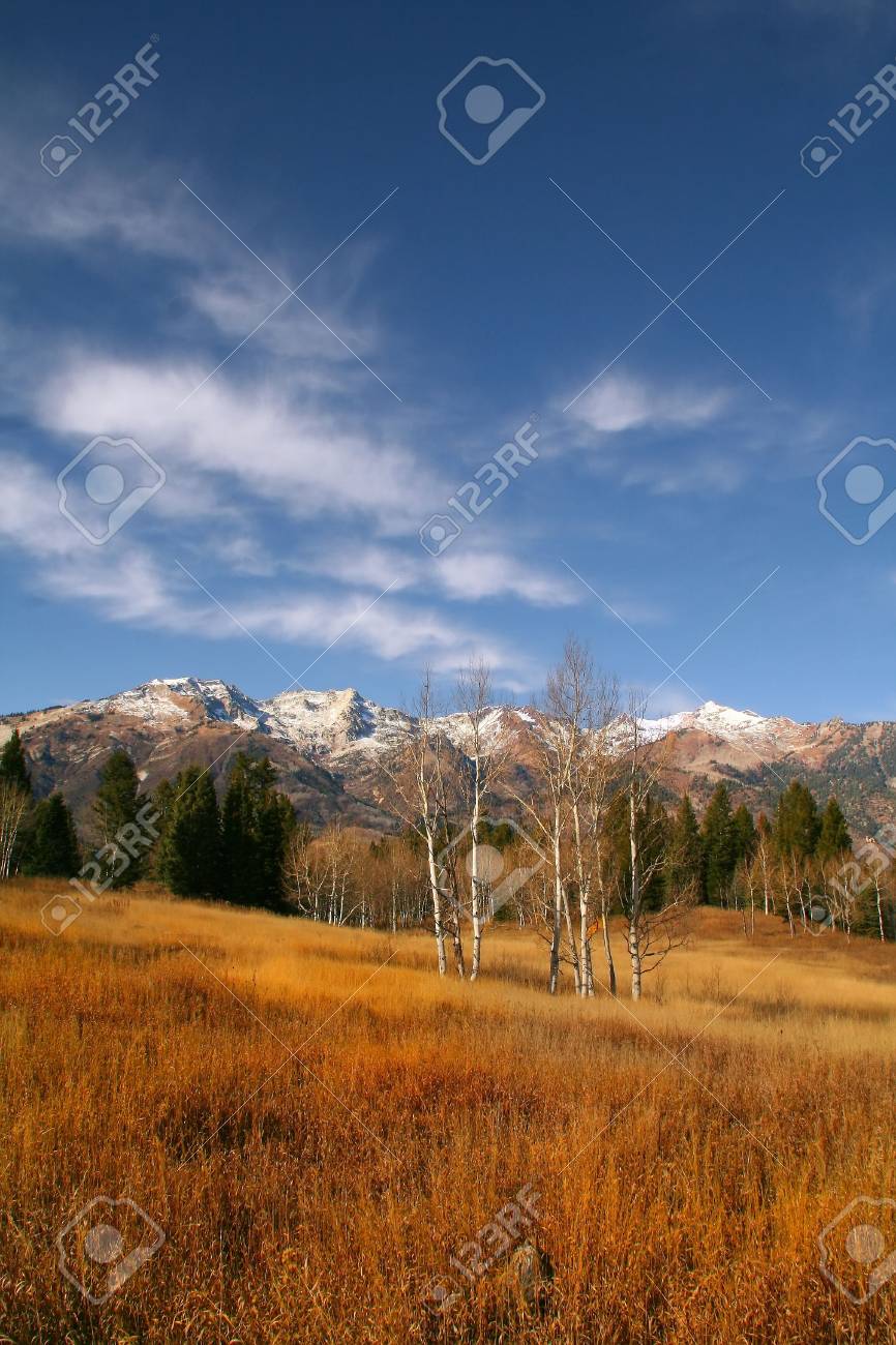 Appartement De Haute Montagne à Lautomne Indiquant Toutes Les Couleurs Dautomne Avec Les Montagnes En Arrière Plan