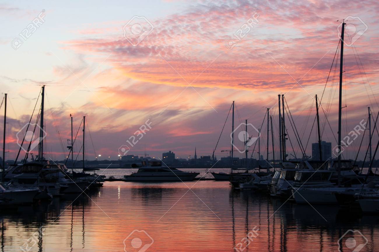 etiam-dictum-ipsum-a-felis